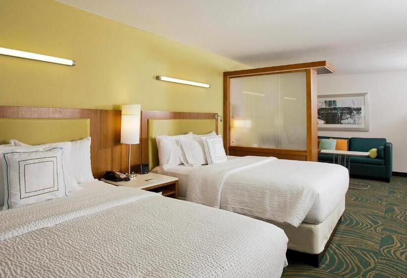 Студия Стандарт, Springhill Suites By Marriott Mobile West