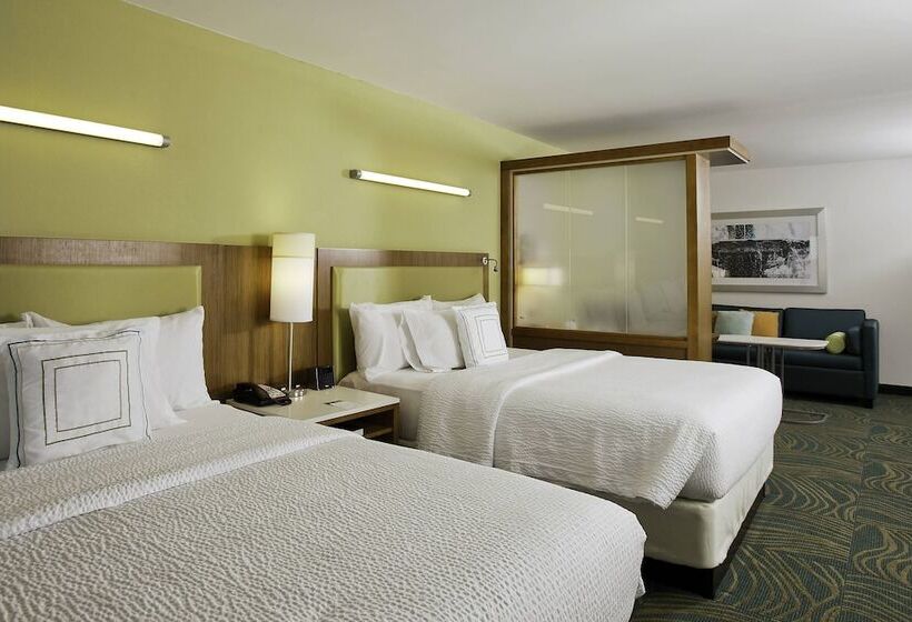 Студия Стандарт, Springhill Suites By Marriott Mobile West