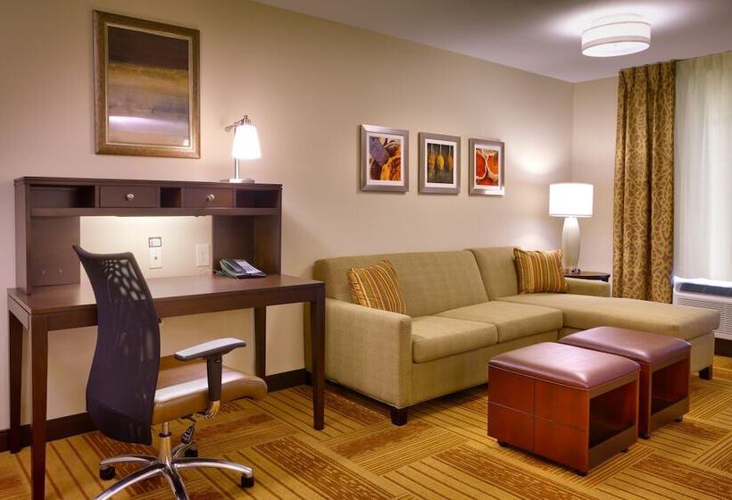 Студия Стандарт, Staybridge Suites Cheyenne, An Ihg