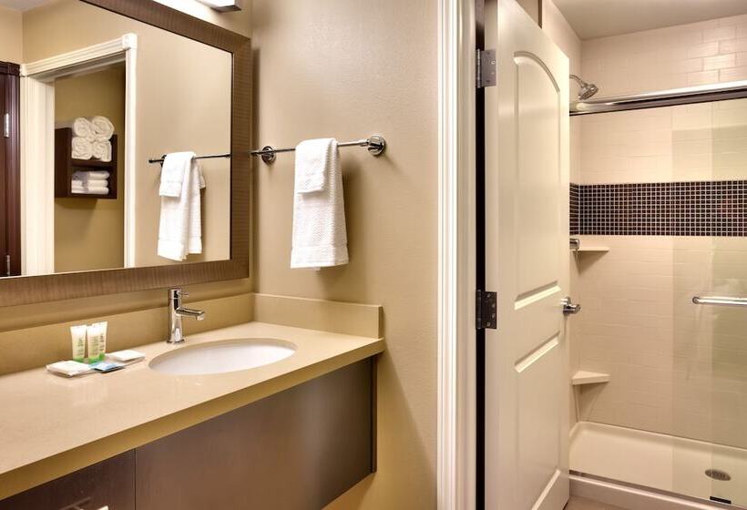 Люкс, Staybridge Suites Cheyenne, An Ihg