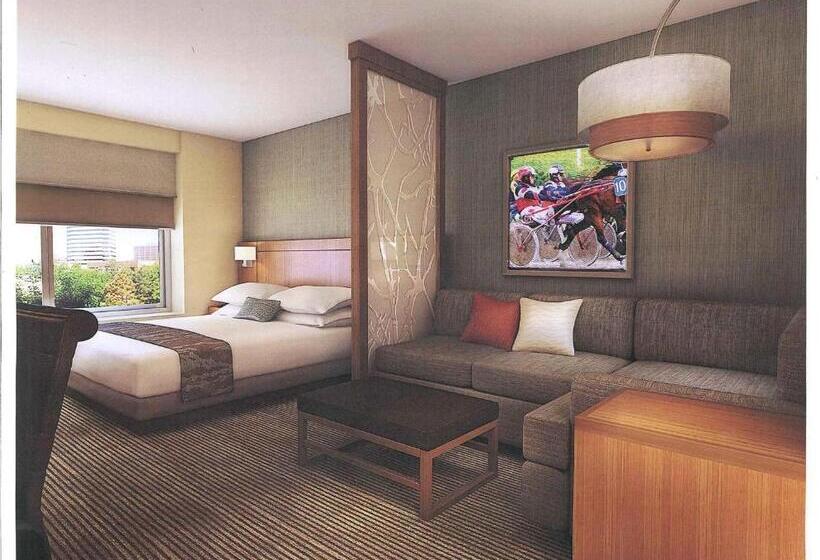 身障者適用キングサイズベッドルーム, Hyatt Place At The Hollywood Casino Pittsburgh South
