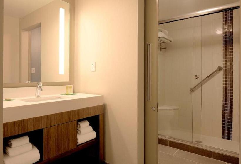 キングサイズベッドのスタンダードルーム, Hyatt Place At The Hollywood Casino Pittsburgh South