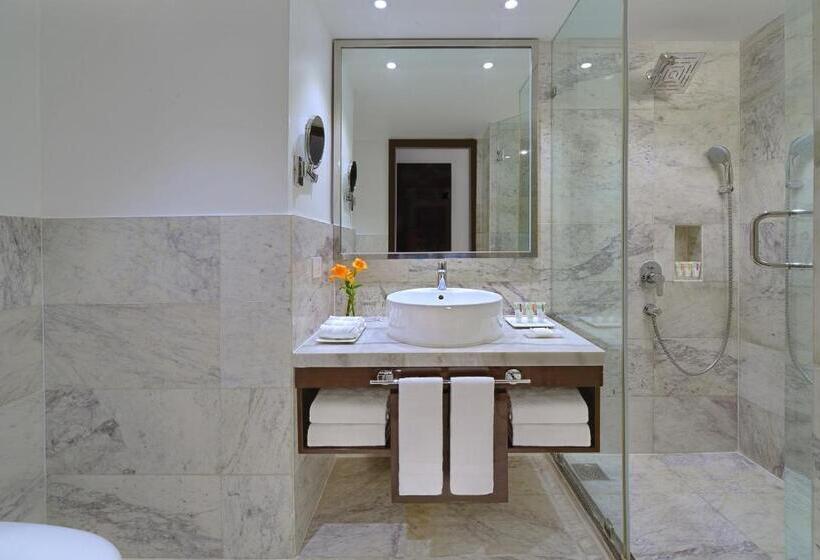 Номер Deluxe, Radisson Hotel Agra