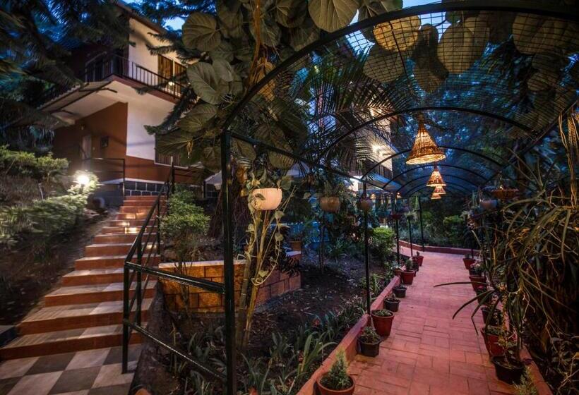 اتاق لوکس, Spice Jungle Resort