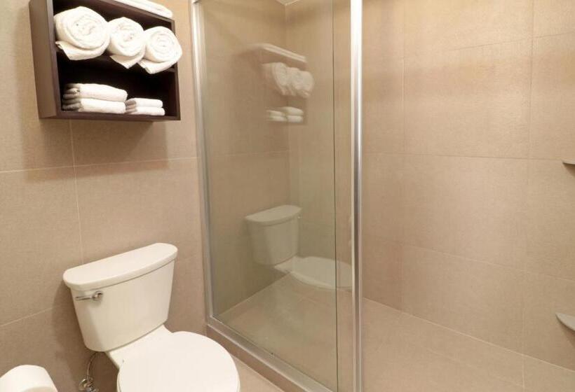 디럭스 룸, Staybridge Suites San Luis Potosi, An Ihg