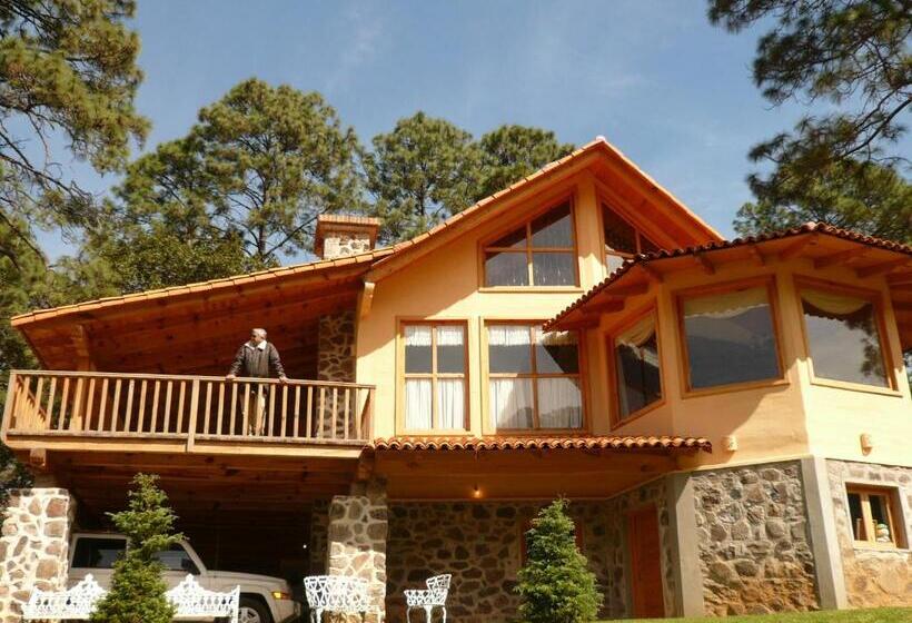 Club Suite, Bosque Escondido