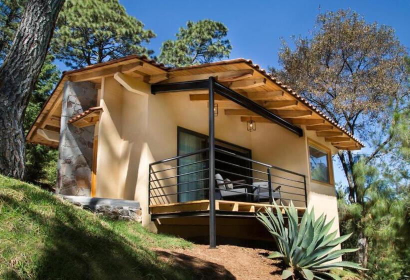 Superior Suite, Bosque Escondido