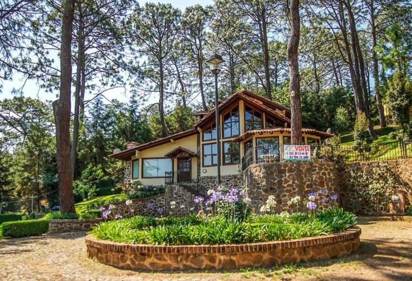 Deluxe Familiekamer, Bosque Escondido