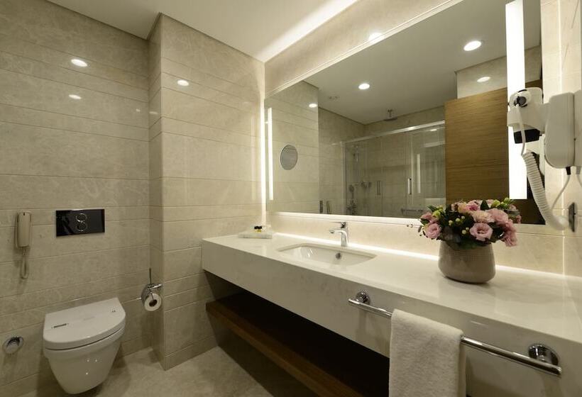 Premium Room City View, Holiday Inn Bursa   City Centre, An Ihg