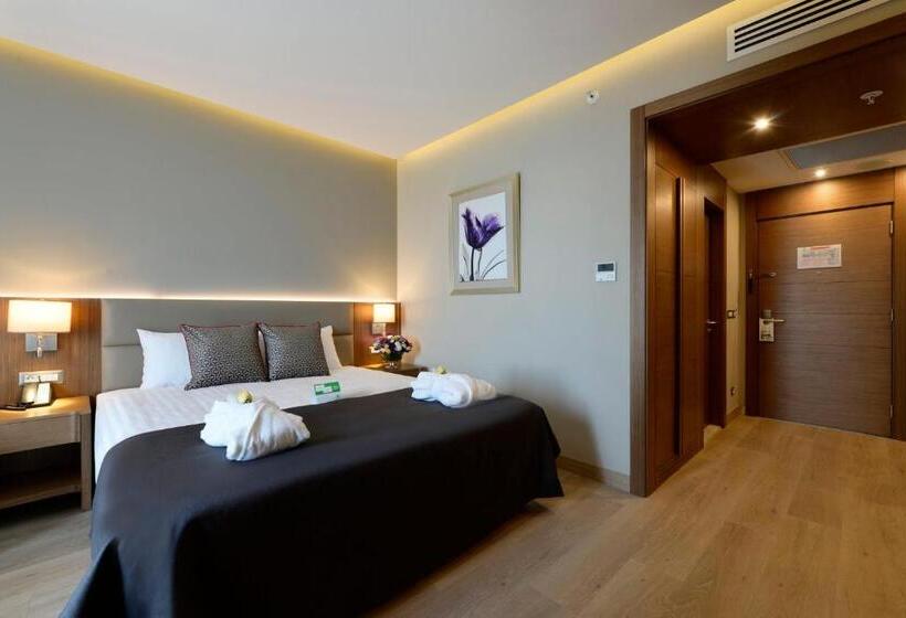 اتاق استاندارد, Holiday Inn Bursa   City Centre, An Ihg