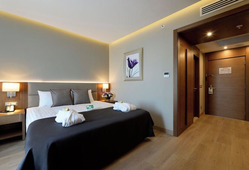 Standard Room Double Bed City View, Holiday Inn Bursa   City Centre, An Ihg