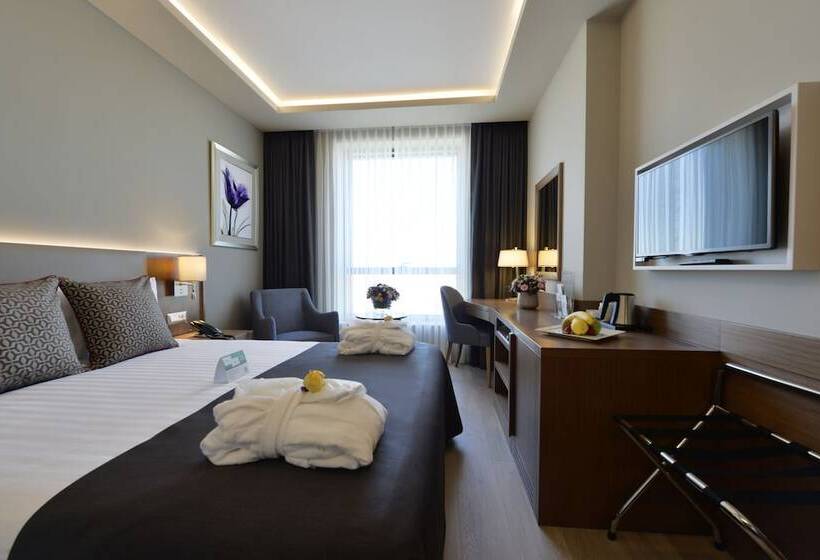 Standard Room Double Bed City View, Holiday Inn Bursa   City Centre, An Ihg