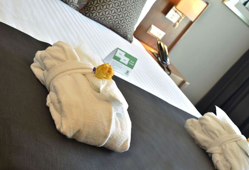 اتاق استاندارد با چشم‌انداز شهر, Holiday Inn Bursa   City Centre, An Ihg