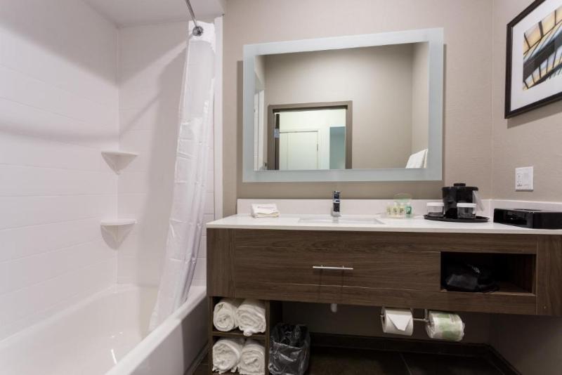 장애인을 위한 스탠다드 룸, Holiday Inn San Marcos Convention Center, An Ihg