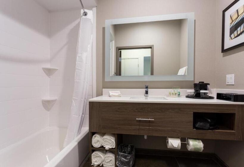 장애인을 위한 스탠다드 룸, Holiday Inn San Marcos Convention Center, An Ihg