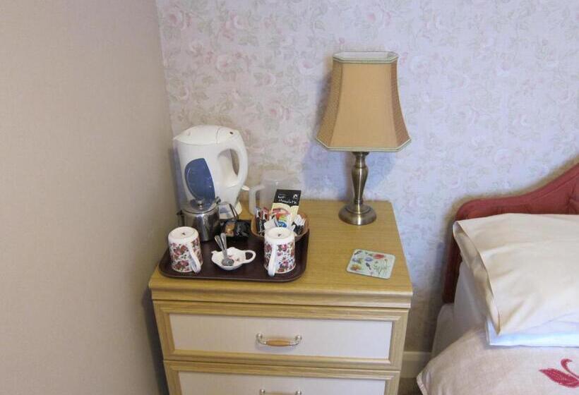 Номер Стандарт, Black Swan Guest House