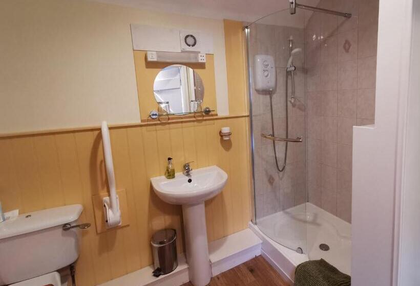 Номер Superior, Black Swan Guest House