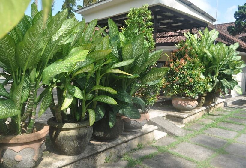 Номер Стандарт, Dewi Sinta Hotel And Restaurant