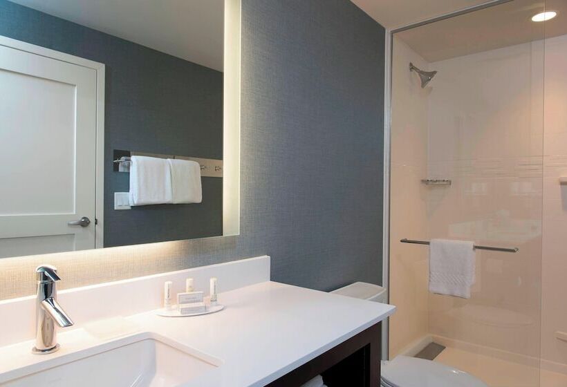 带双人床的标准工作室, Residence Inn By Marriott Ann Arbor Downtown
