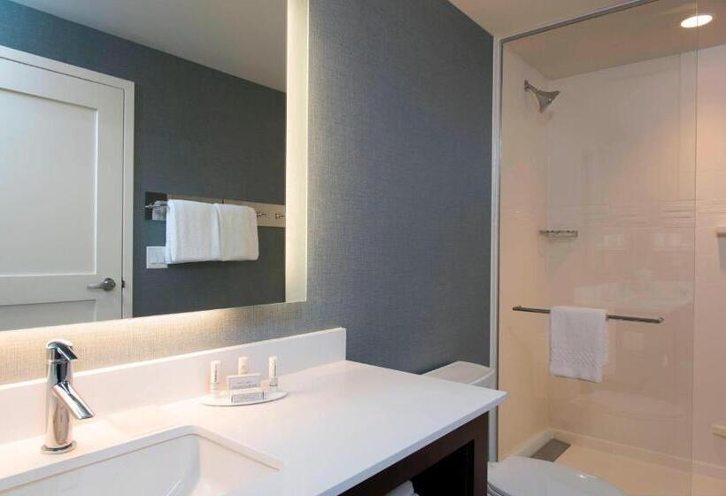 带大床的套房, Residence Inn By Marriott Ann Arbor Downtown