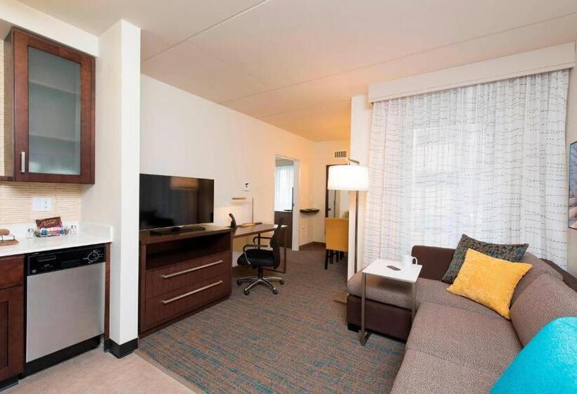 带大床的套房, Residence Inn By Marriott Ann Arbor Downtown