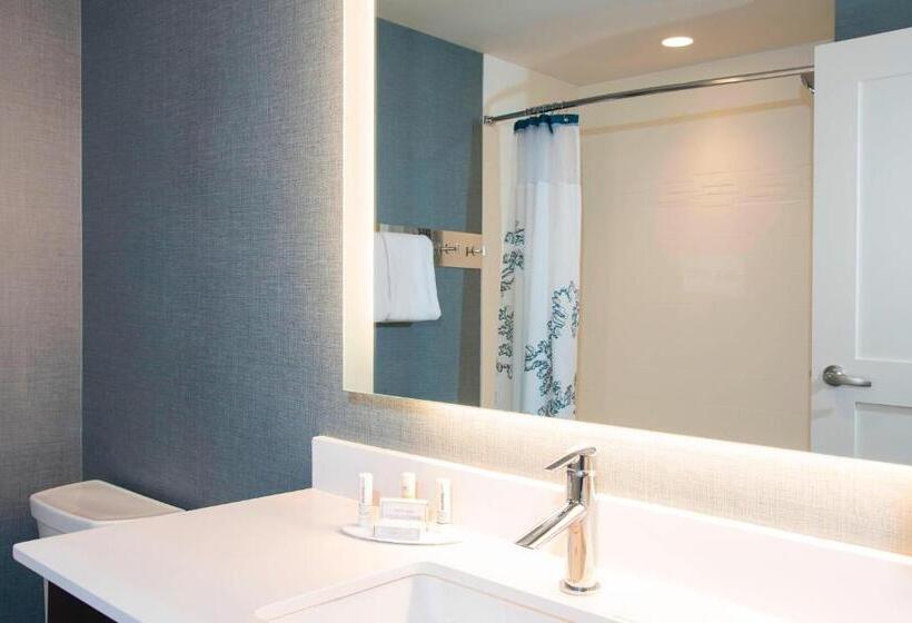 带大床的标准工作室, Residence Inn By Marriott Ann Arbor Downtown