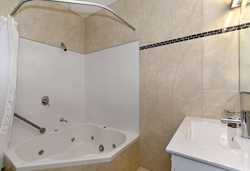Студио Executive, Aoraki Court Motel