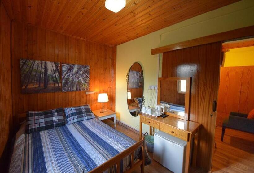 Dört Kişilik Standart Oda, Christys Palace