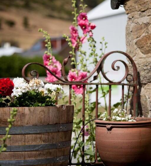 프리미엄 룸, Olivers Central Otago