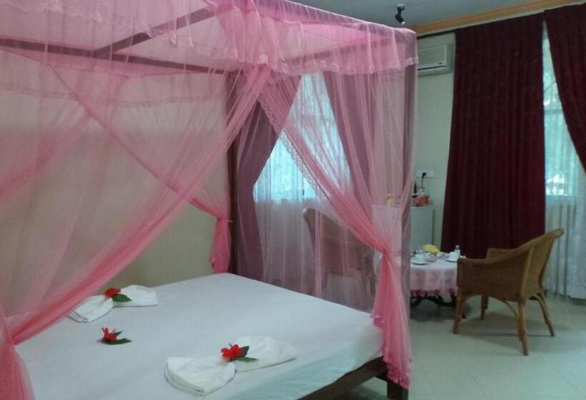 اتاق لوکس, Rico Shadow Guest House