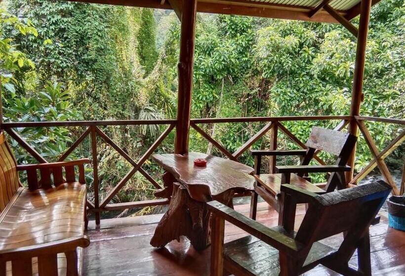 带花园景观的标准洋房, Tree Tops River Huts