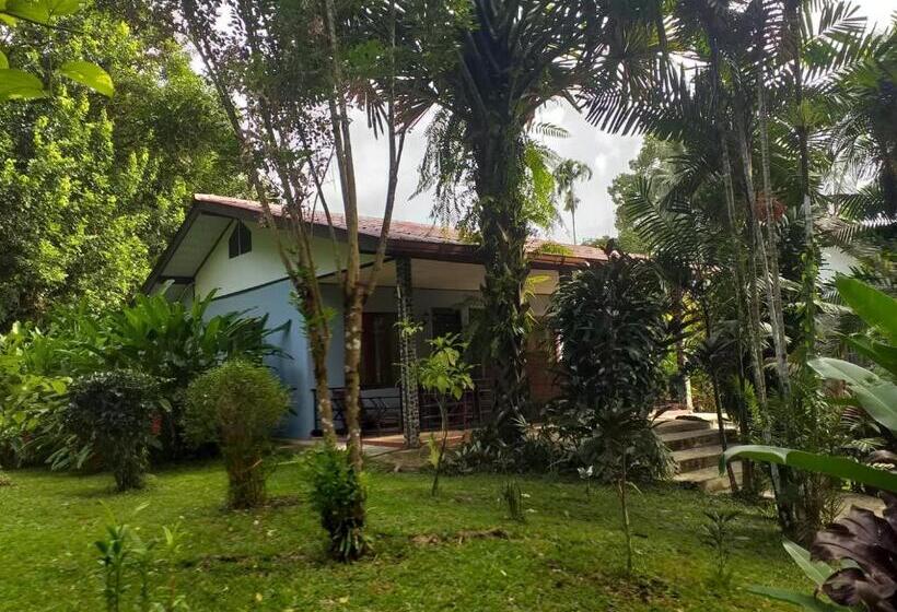 标准平房, Tree Tops River Huts
