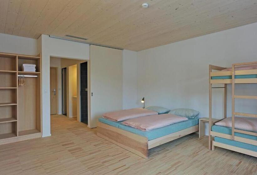 اتاق استاندارد یک نفره, St. Moritz Youth Hostel