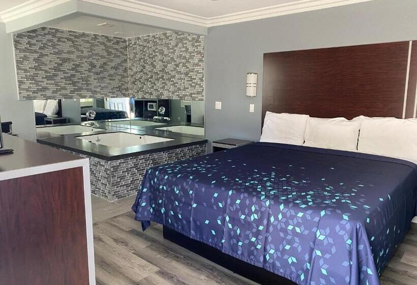 Номер Deluxe Одноместный, Regency Motel