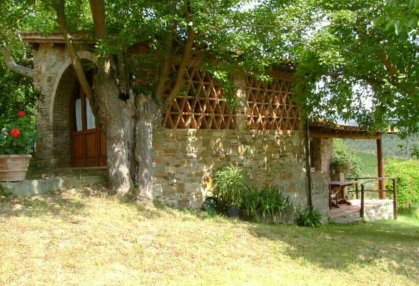 Апартаменты 1 Спальня с Террасой, Agriturismo Il Santo