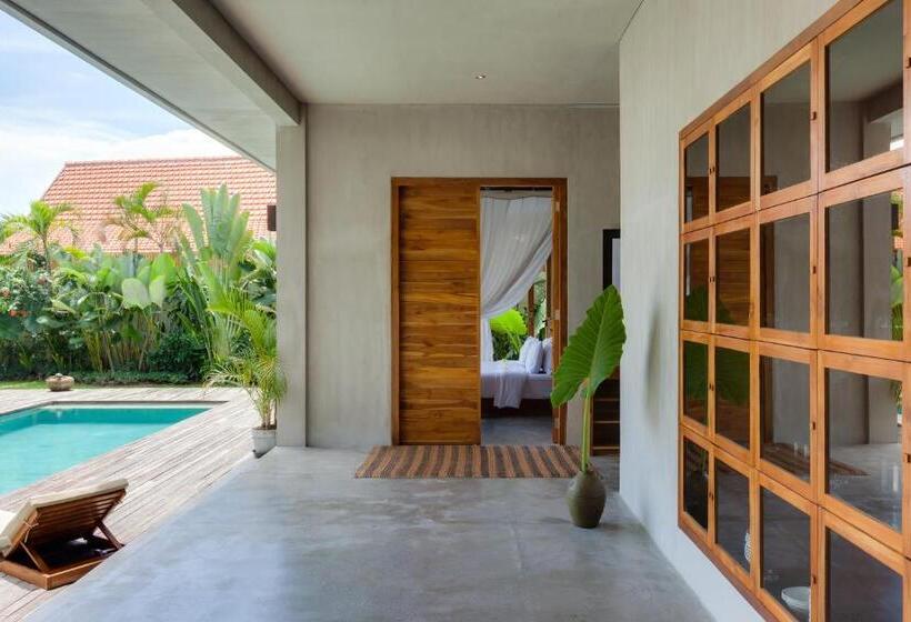 Бунгало Стандарт, Zin Berawa Villas & Bungalows