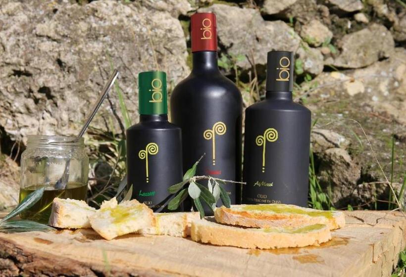 带1个卧室的带阳台的公寓, Agriturismo Ai Massi