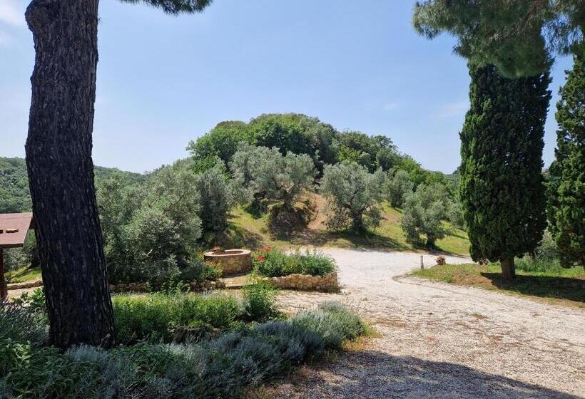 带1个卧室的带阳台的公寓, Agriturismo Ai Massi