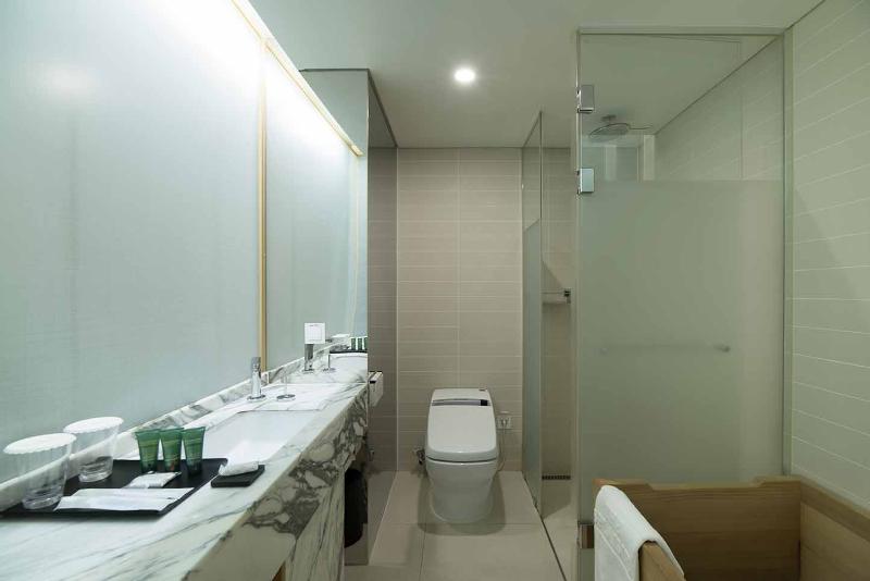 Номер Deluxe, Sotetsu Hotels The Splaisir Seoul Myeongdong