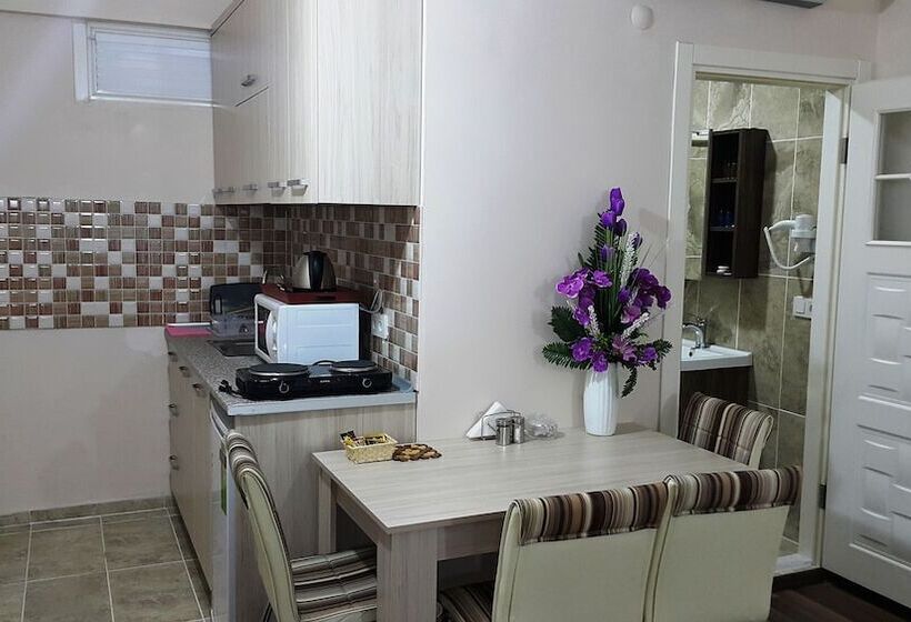 סטודיו משפחתי, Beyazithan Suites