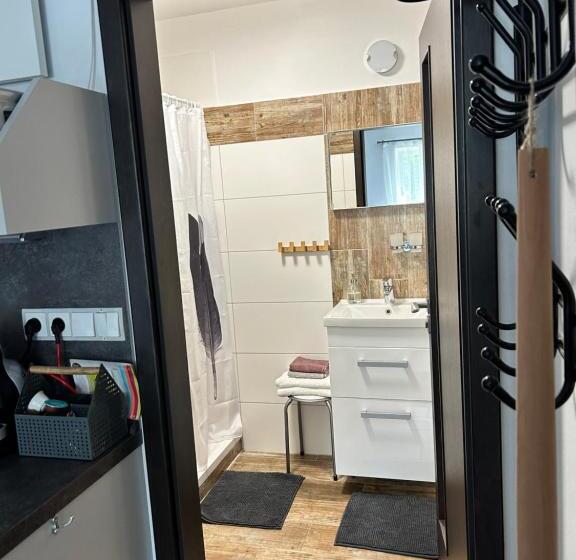 Апартаменты 1 Спальня, Apartmány U Kuželky