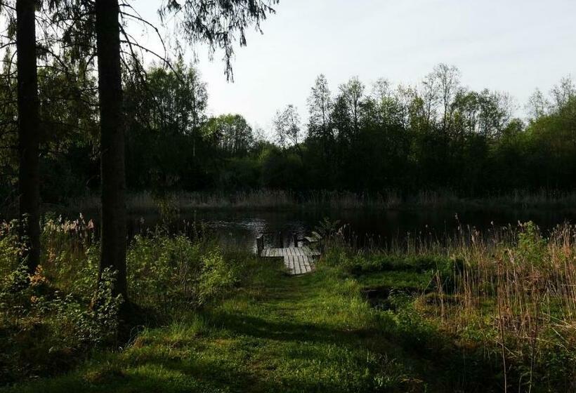 خانه 1 خوابه, Allika Löövi Sauna Cabin