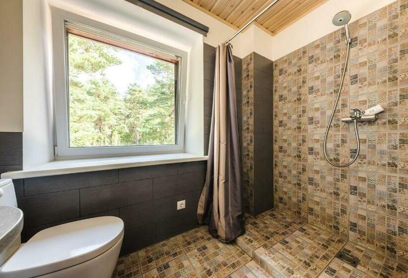 اتاق استاندارد با بالکن, Guest House Stellas