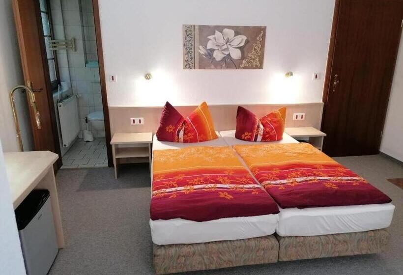 Номер Стандарт, Pension Schwalbennest