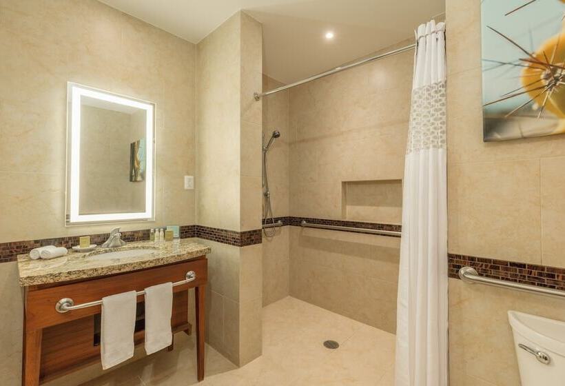 ダブルベッドスタンダードルーム, Hampton Inn & Suites By Hilton Los Cabos