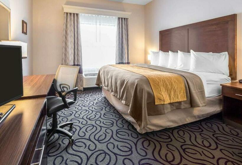 스탠다드 룸 킹사이즈 침대, Comfort Inn & Suites