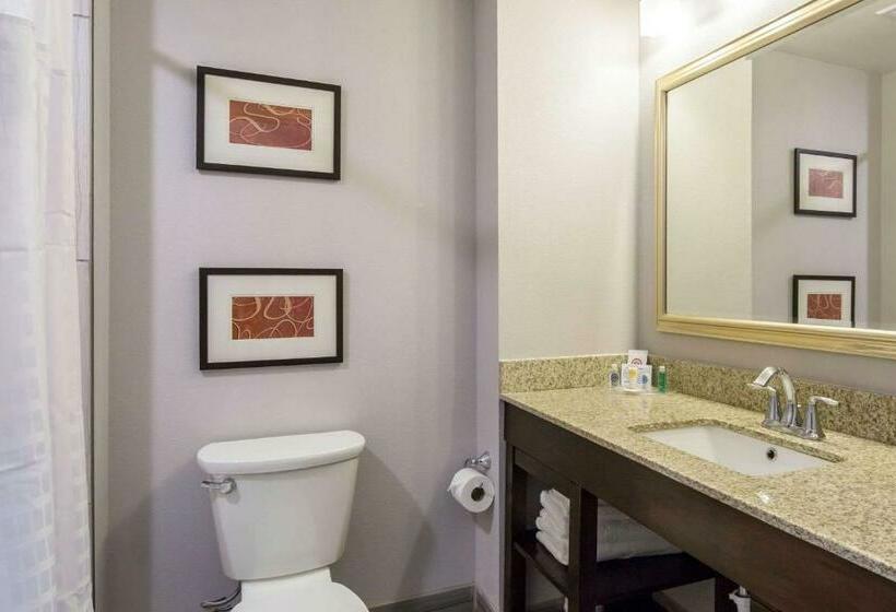 스탠다드 룸, Comfort Inn & Suites