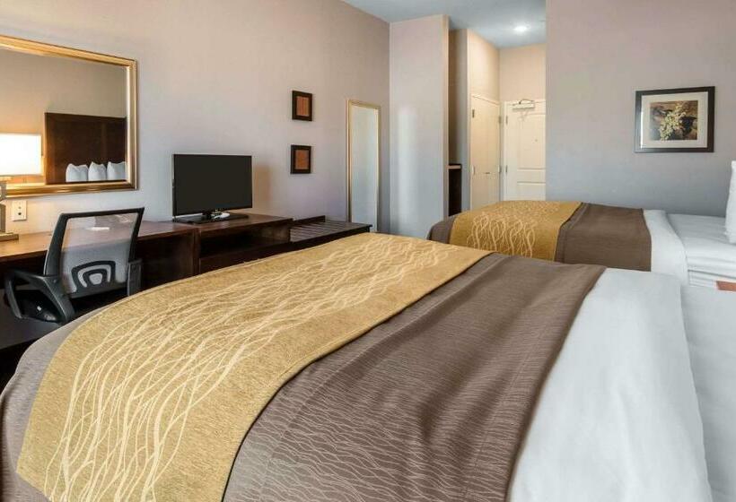 חדר סטנדרט, Comfort Inn & Suites