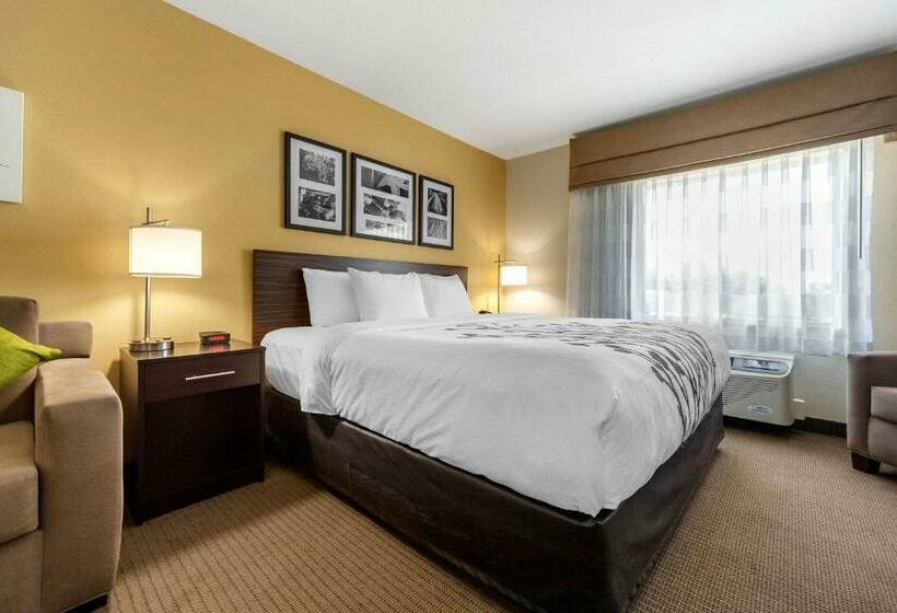 스위트 킹사이즈 침대, Sleep Inn & Suites Lincoln University Area