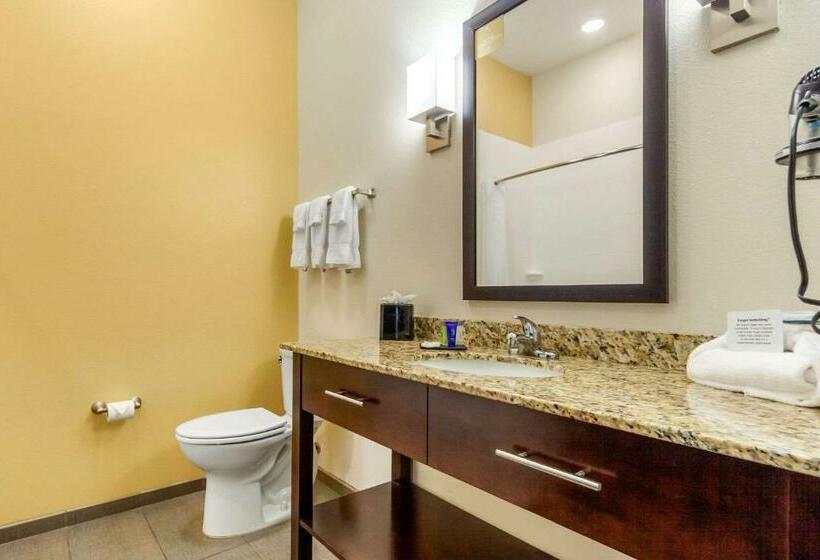 스탠다드 룸, Sleep Inn & Suites Lincoln University Area